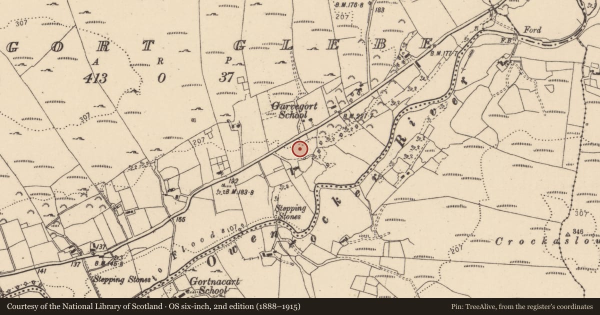 Ordnance Survey six-inch map, 2nd edition (1888–1915) covering the location of Ringfort - unclassified, Garvegort Glebe, County Donegal, with a pin at the register's coordinates
