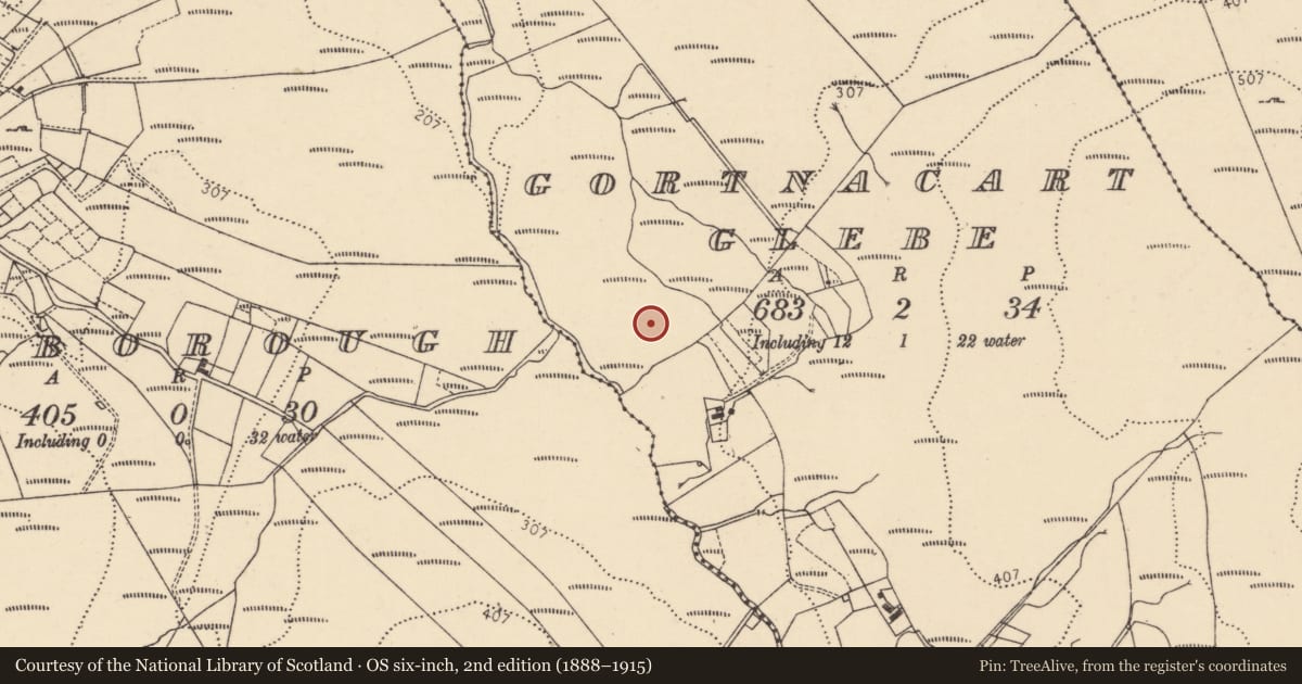 Ordnance Survey six-inch map, 2nd edition (1888–1915) covering the location of Megalithic tomb - unclassified, Gortnacart Glebe, County Donegal, with a pin at the register's coordinates
