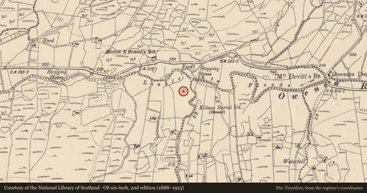Ordnance Survey six-inch map, 2nd edition (1888–1915) covering the location of Barrow - ring-barrow, Corr Na Ngriollach, County Donegal, with a pin at the register's coordinates
