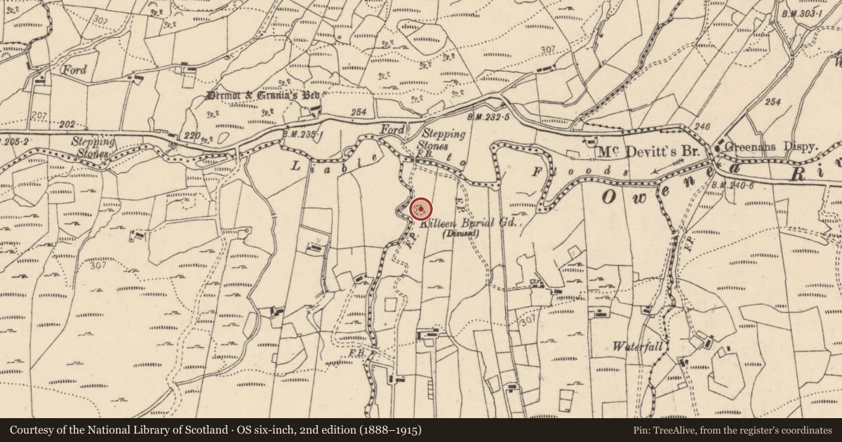 Ordnance Survey six-inch map, 2nd edition (1888–1915) covering the location of Cross-slab, Lag Na Gaileadh, County Donegal, with a pin at the register's coordinates