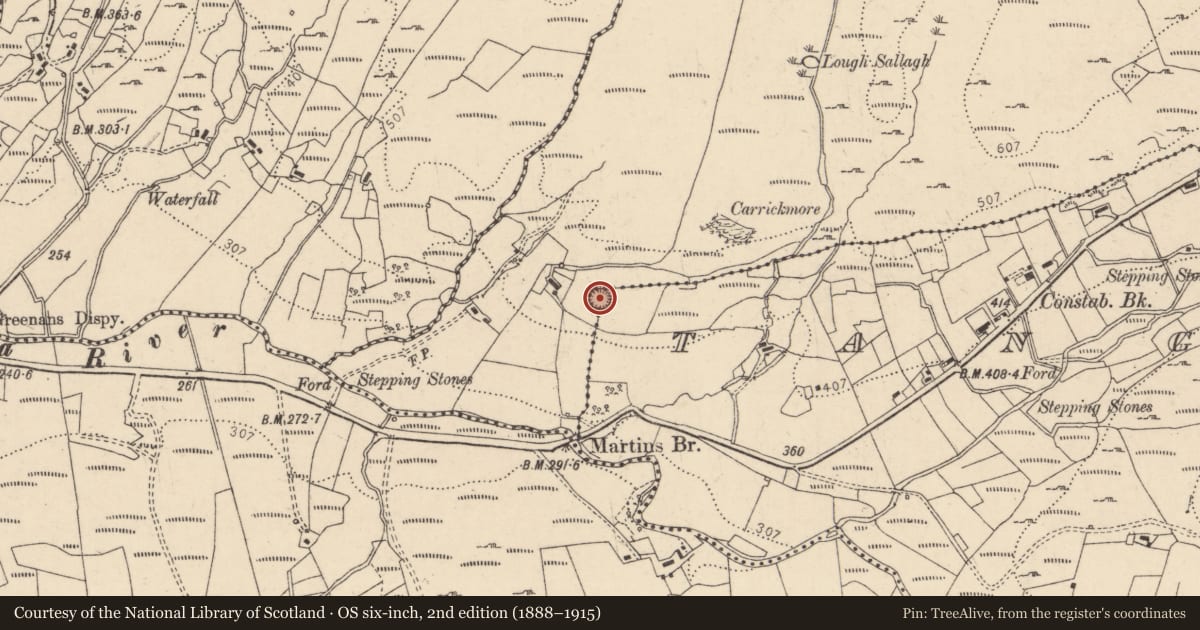 Ordnance Survey six-inch map, 2nd edition (1888–1915) covering the location of Ringfort - rath, An Tseanga Mheáin (TC An Ghrafaidh), County Donegal, with a pin at the register's coordinates