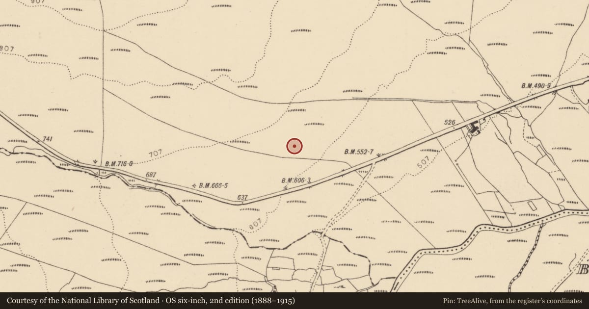 Ordnance Survey six-inch map, 2nd edition (1888–1915) covering the location of Standing stone, Glaisigh Daibhéid, County Donegal, with a pin at the register's coordinates