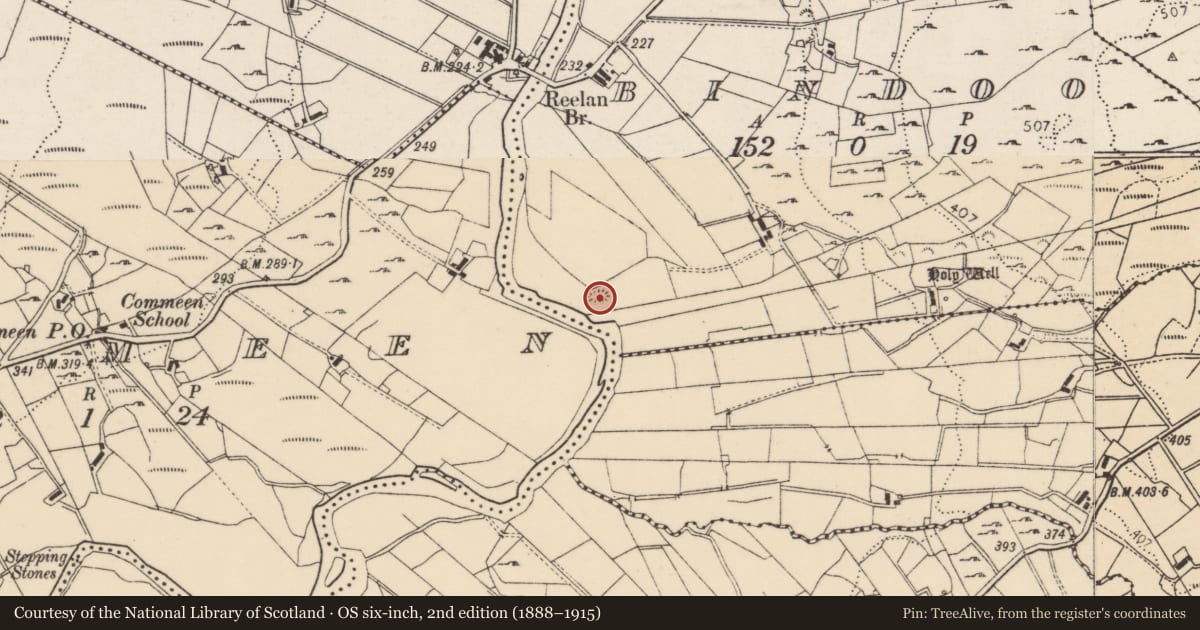 Ordnance Survey six-inch map, 2nd edition (1888–1915) covering the location of Ringfort - rath, An Bhinn Dubh, County Donegal, with a pin at the register's coordinates