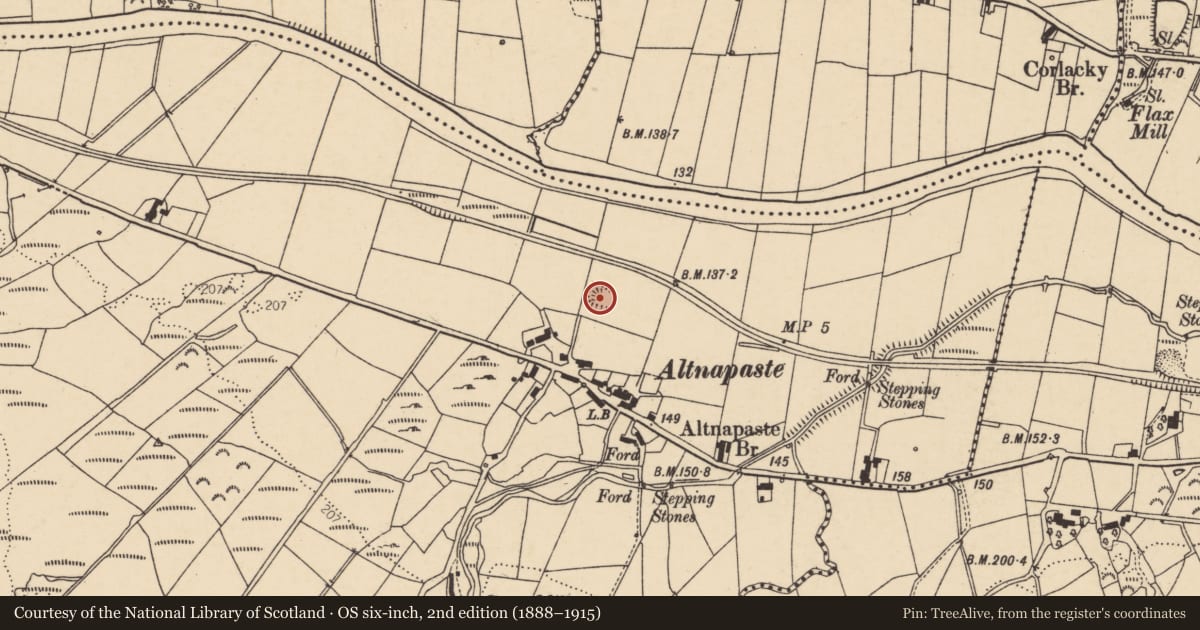 Ordnance Survey six-inch map, 2nd edition (1888–1915) covering the location of Ringfort - rath, Altnapaste, County Donegal, with a pin at the register's coordinates