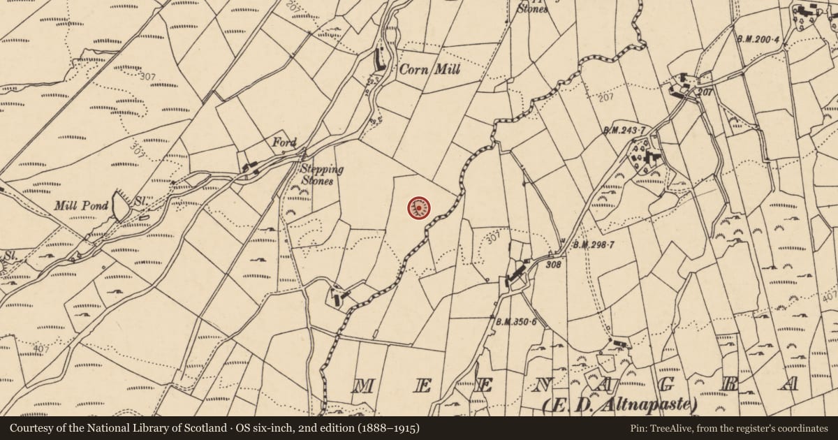 Ordnance Survey six-inch map, 2nd edition (1888–1915) covering the location of Ringfort - cashel, Altnapaste, County Donegal, with a pin at the register's coordinates