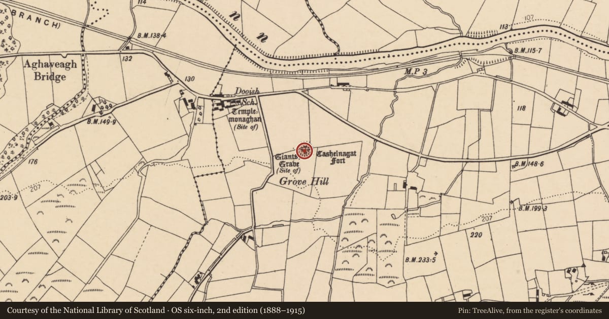 Ordnance Survey six-inch map, 2nd edition (1888–1915) covering the location of Enclosure, Dooish, County Donegal, with a pin at the register's coordinates