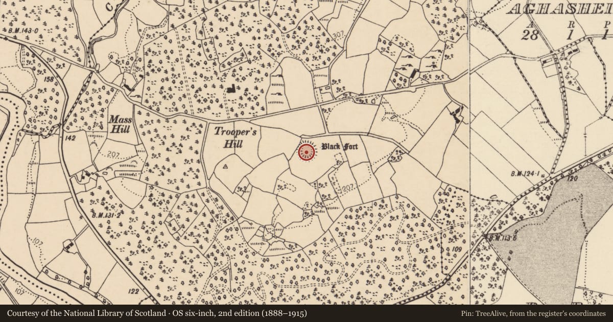 Ordnance Survey six-inch map, 2nd edition (1888–1915) covering the location of Ringfort - rath, Creggan, County Donegal, with a pin at the register's coordinates