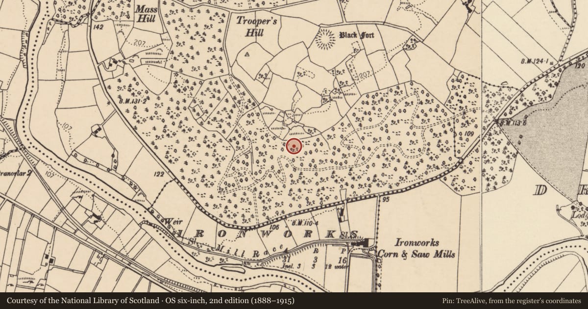 Ordnance Survey six-inch map, 2nd edition (1888–1915) covering the location of Enclosure, Creggan, County Donegal, with a pin at the register's coordinates