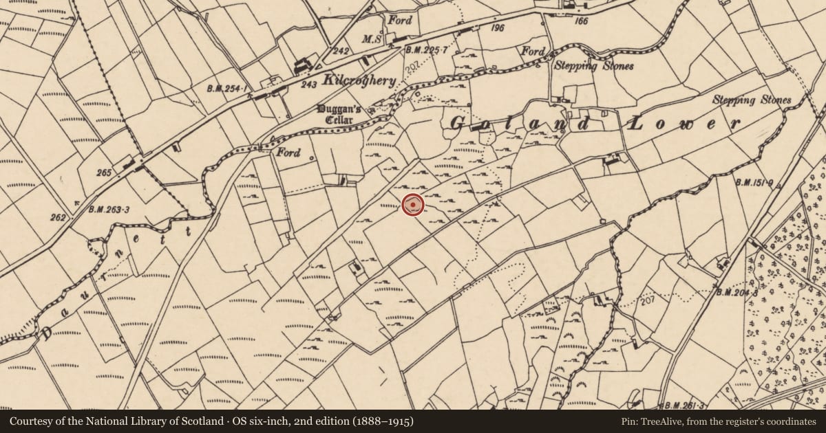 Ordnance Survey six-inch map, 2nd edition (1888–1915) covering the location of Ringfort - cashel, Goland, County Donegal, with a pin at the register's coordinates