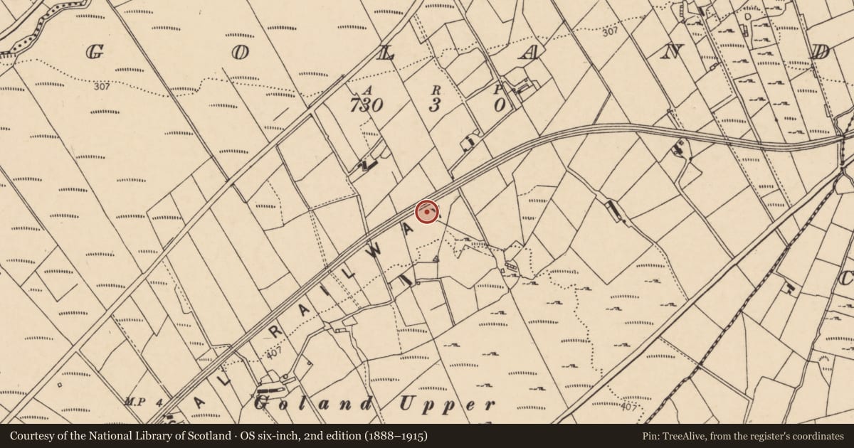 Ordnance Survey six-inch map, 2nd edition (1888–1915) covering the location of Ringfort - cashel, Goland, County Donegal, with a pin at the register's coordinates