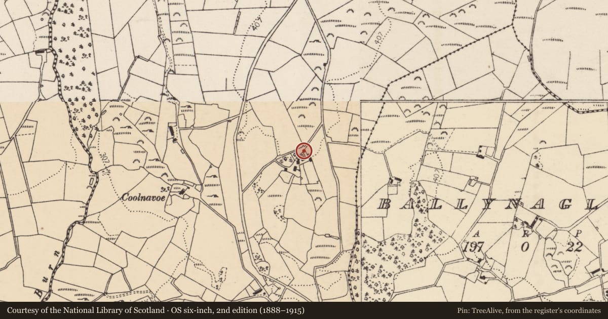 Ordnance Survey six-inch map, 2nd edition (1888–1915) covering the location of Standing stone, Creggan, County Donegal, with a pin at the register's coordinates