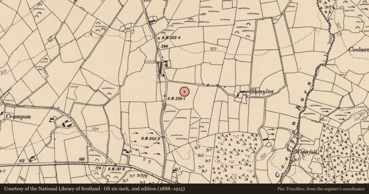 Ordnance Survey six-inch map, 2nd edition (1888–1915) covering the location of Ringfort - cashel, Curraghomongan, County Donegal, with a pin at the register's coordinates