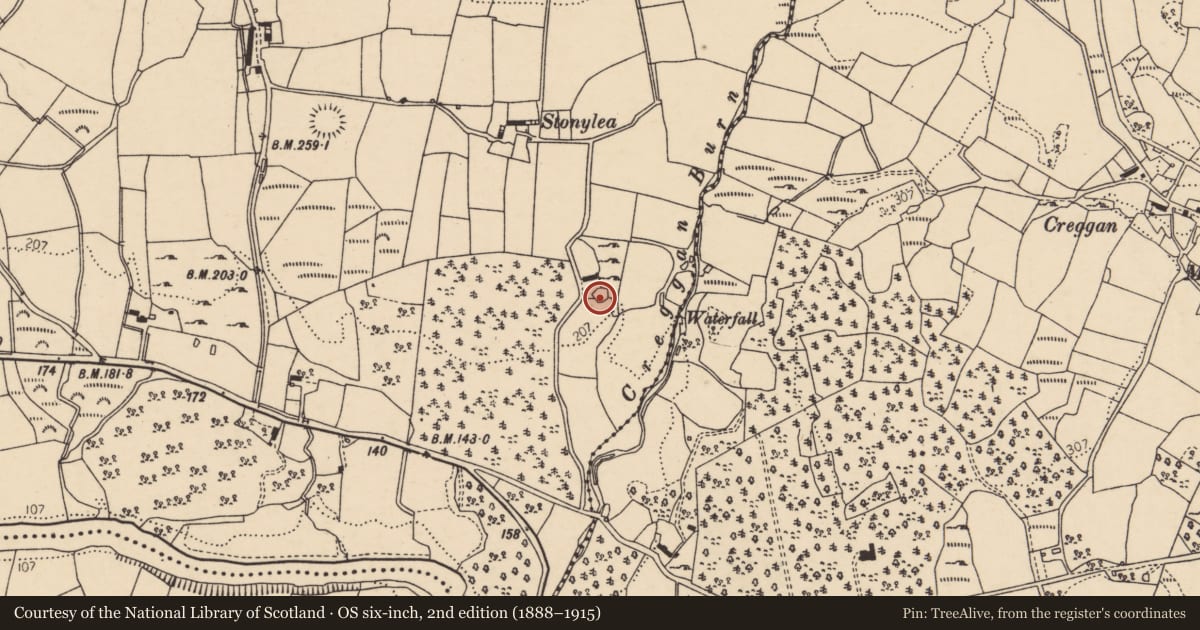 Ordnance Survey six-inch map, 2nd edition (1888–1915) covering the location of Ringfort - unclassified, Curraghomongan, County Donegal, with a pin at the register's coordinates