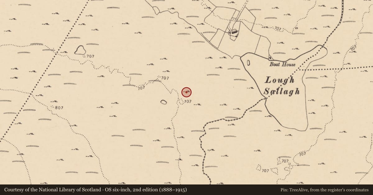 Ordnance Survey six-inch map, 2nd edition (1888–1915) covering the location of Megalithic structure, Loughsallagh, County Donegal, with a pin at the register's coordinates