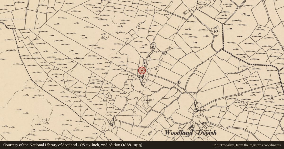 Ordnance Survey six-inch map, 2nd edition (1888–1915) covering the location of Standing stone, Dooish, County Donegal, with a pin at the register's coordinates