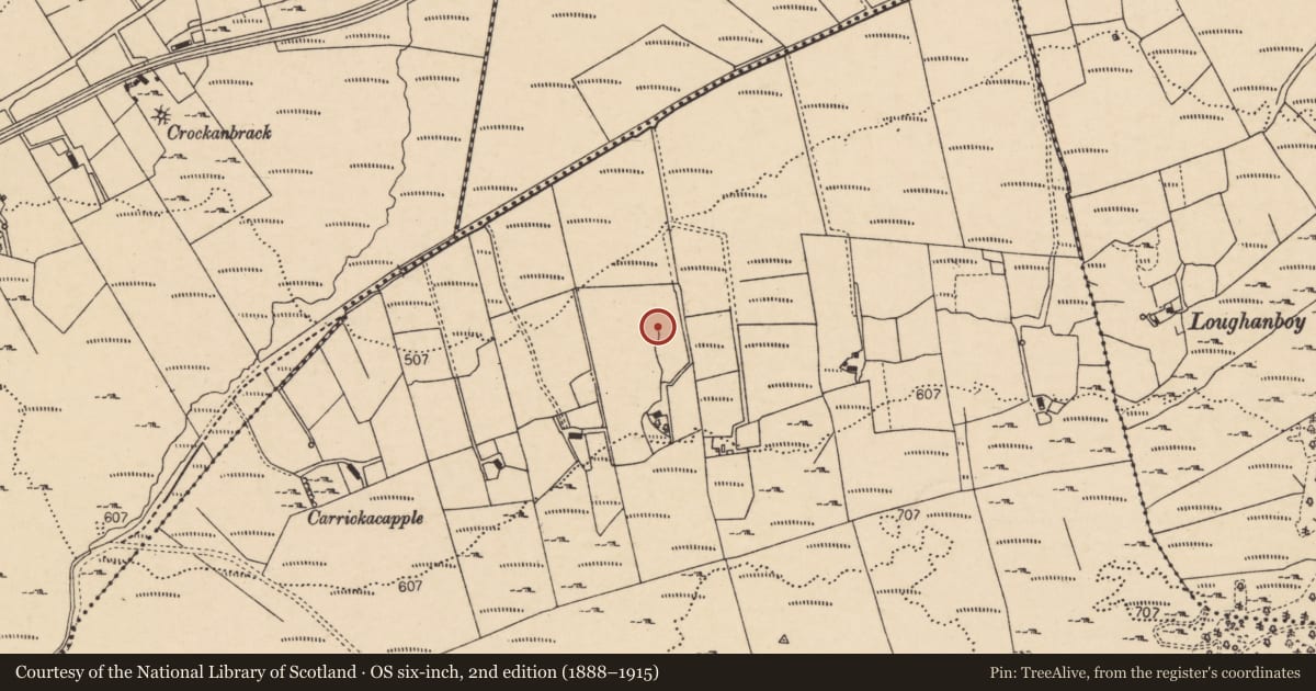 Ordnance Survey six-inch map, 2nd edition (1888–1915) covering the location of Standing stone, Meenbog, County Donegal, with a pin at the register's coordinates
