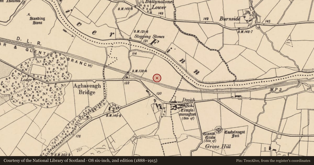 Ordnance Survey six-inch map, 2nd edition (1888–1915) covering the location of Standing stone, Corraine, County Donegal, with a pin at the register's coordinates