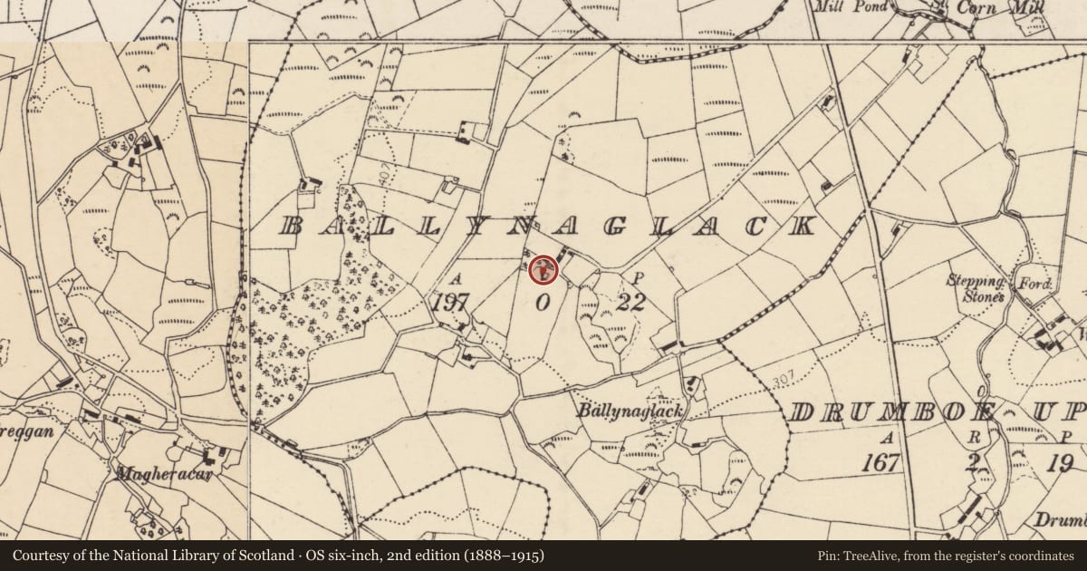 Ordnance Survey six-inch map, 2nd edition (1888–1915) covering the location of Ringfort - unclassified, Ballynaglack, County Donegal, with a pin at the register's coordinates