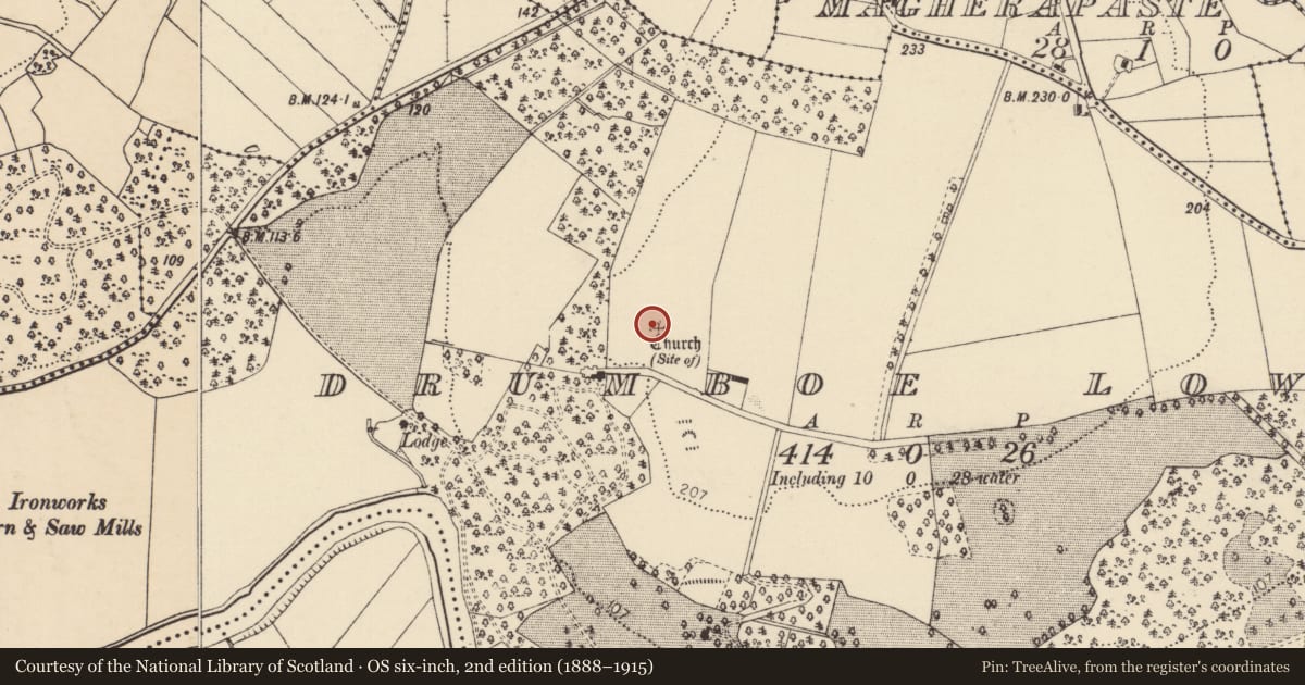Ordnance Survey six-inch map, 2nd edition (1888–1915) covering the location of Church, Drumboe Lower, County Donegal, with a pin at the register's coordinates