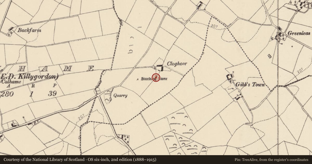 Ordnance Survey six-inch map, 2nd edition (1888–1915) covering the location of Standing stone - pair, Leaght, County Donegal, with a pin at the register's coordinates