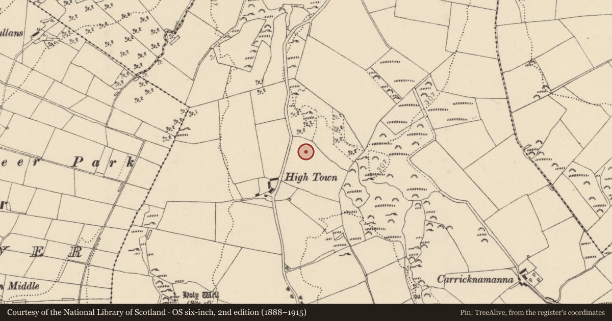 Ordnance Survey six-inch map, 2nd edition (1888–1915) covering the location of Enclosure, Carricknamanna, County Donegal, with a pin at the register's coordinates