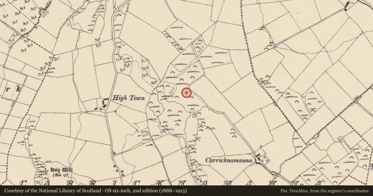 Ordnance Survey six-inch map, 2nd edition (1888–1915) covering the location of Ringfort - unclassified, Carricknamanna, County Donegal, with a pin at the register's coordinates