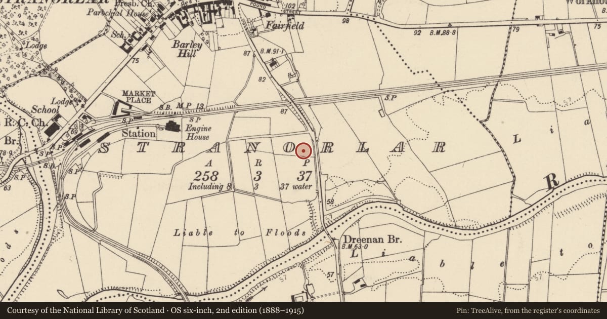 Ordnance Survey six-inch map, 2nd edition (1888–1915) covering the location of Ringfort - unclassified, Stranorlar, County Donegal, with a pin at the register's coordinates