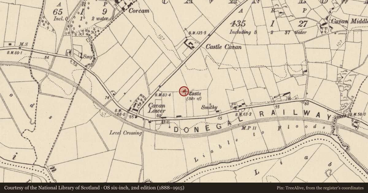 Ordnance Survey six-inch map, 2nd edition (1888–1915) covering the location of Castle - unclassified, Cavan Lower, County Donegal, with a pin at the register's coordinates