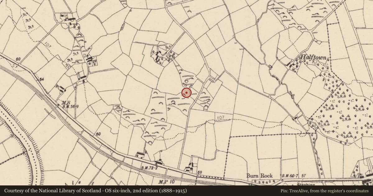 Ordnance Survey six-inch map, 2nd edition (1888–1915) covering the location of Ringfort - unclassified, Carricknamanna, County Donegal, with a pin at the register's coordinates