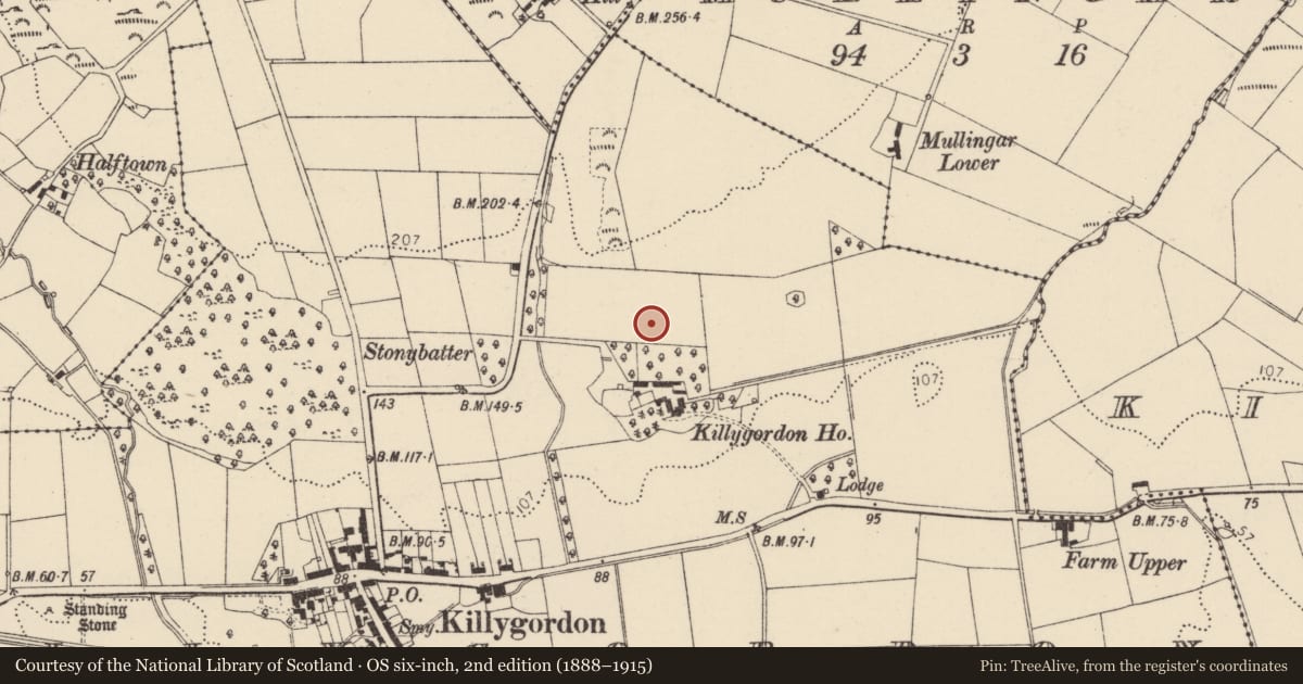 Ordnance Survey six-inch map, 2nd edition (1888–1915) covering the location of Souterrain, Killygordon, County Donegal, with a pin at the register's coordinates