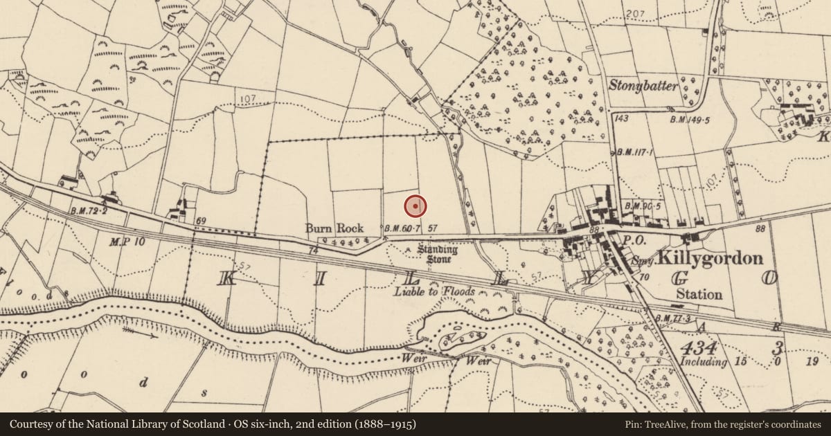 Ordnance Survey six-inch map, 2nd edition (1888–1915) covering the location of Standing stone, Killygordon, County Donegal, with a pin at the register's coordinates