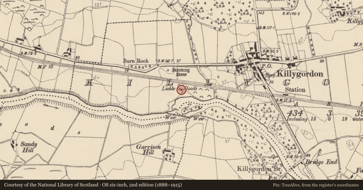 Ordnance Survey six-inch map, 2nd edition (1888–1915) covering the location of Standing stone, Killygordon, County Donegal, with a pin at the register's coordinates