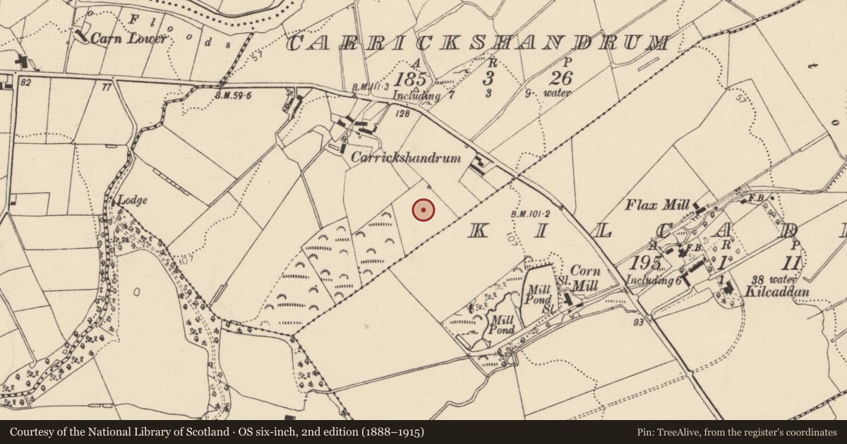Ordnance Survey six-inch map, 2nd edition (1888–1915) covering the location of Ringfort - unclassified, Carrickshandrum, County Donegal, with a pin at the register's coordinates