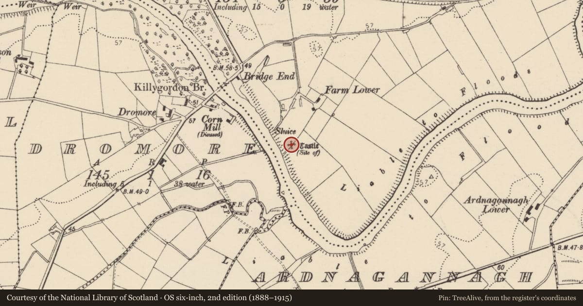 Ordnance Survey six-inch map, 2nd edition (1888–1915) covering the location of Castle - unclassified, Killygordon, County Donegal, with a pin at the register's coordinates