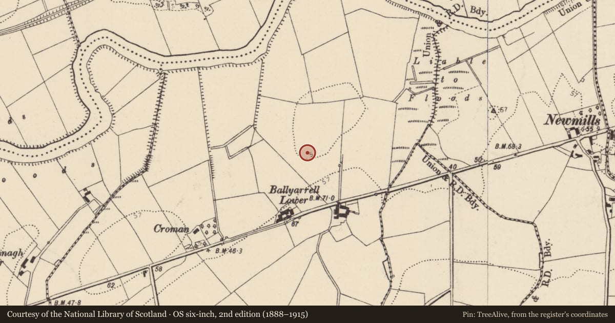 Ordnance Survey six-inch map, 2nd edition (1888–1915) covering the location of Ringfort - unclassified, Ballyarrell, County Donegal, with a pin at the register's coordinates