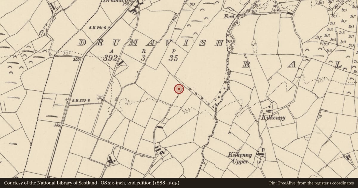 Ordnance Survey six-inch map, 2nd edition (1888–1915) covering the location of Enclosure, Drumavish, County Donegal, with a pin at the register's coordinates
