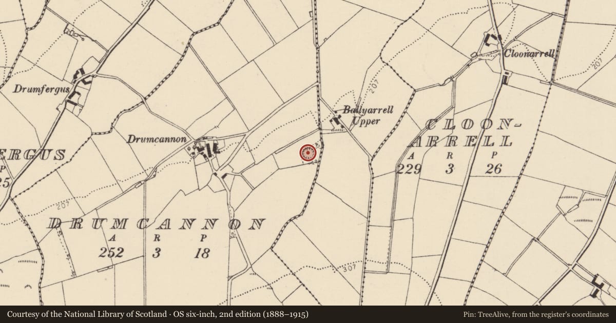 Ordnance Survey six-inch map, 2nd edition (1888–1915) covering the location of Ringfort - rath, Drumcannon, County Donegal, with a pin at the register's coordinates