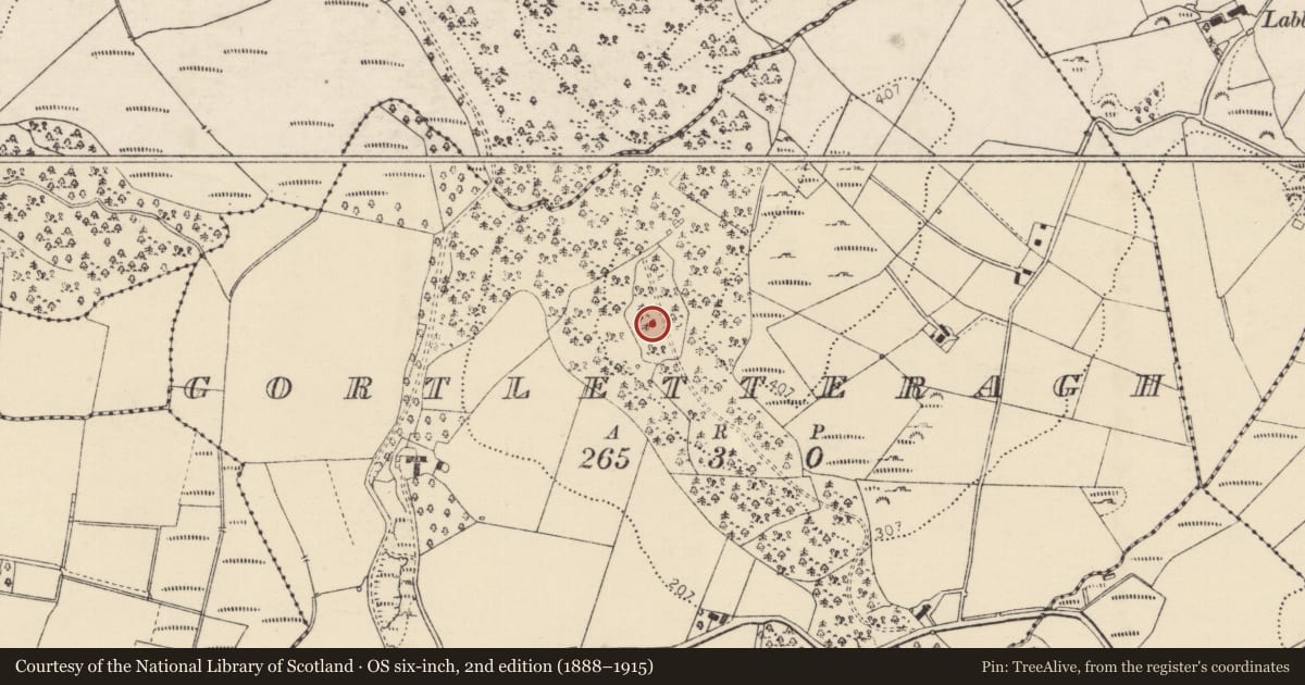 Ordnance Survey six-inch map, 2nd edition (1888–1915) covering the location of Ringfort - cashel, Gortletteragh, County Donegal, with a pin at the register's coordinates
