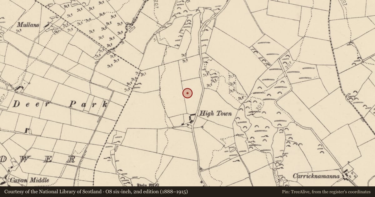 Ordnance Survey six-inch map, 2nd edition (1888–1915) covering the location of Enclosure, Carricknamanna, County Donegal, with a pin at the register's coordinates