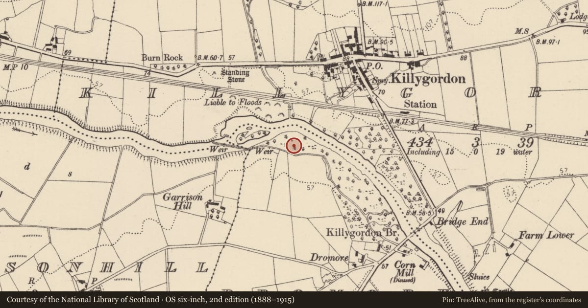 Ordnance Survey six-inch map, 2nd edition (1888–1915) covering the location of Cist, Dromore, County Donegal, with a pin at the register's coordinates