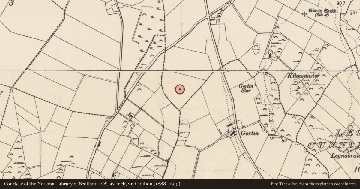 Ordnance Survey six-inch map, 2nd edition (1888–1915) covering the location of Ringfort - unclassified, Kilmonaster Middle, County Donegal, with a pin at the register's coordinates