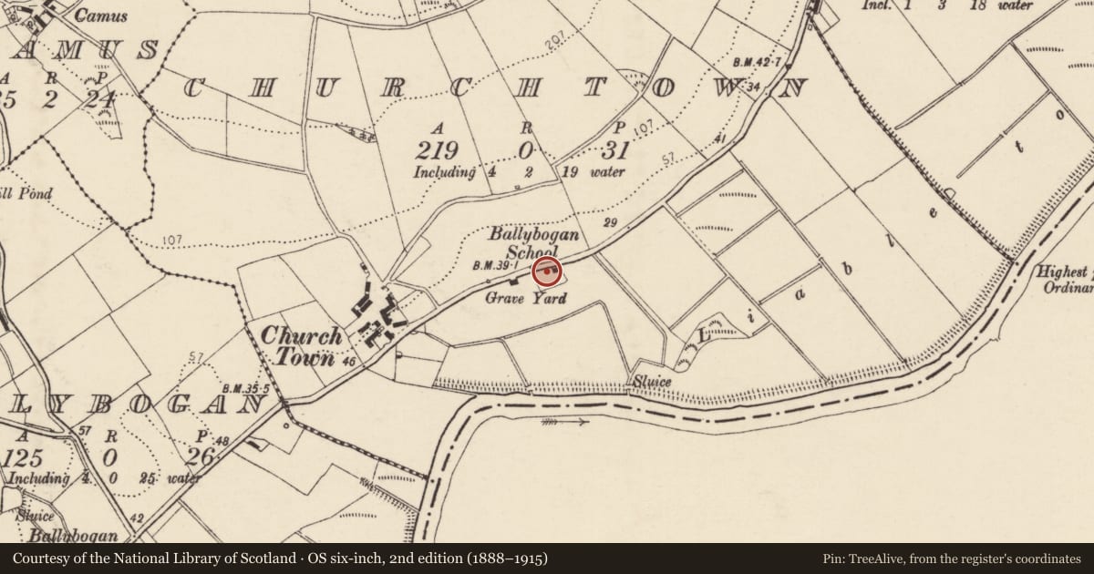Ordnance Survey six-inch map, 2nd edition (1888–1915) covering the location of Stone head, Churchtown, County Donegal, with a pin at the register's coordinates