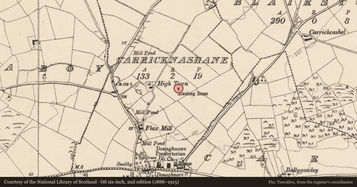 Ordnance Survey six-inch map, 2nd edition (1888–1915) covering the location of Standing stone, Carricknashane, County Donegal, with a pin at the register's coordinates