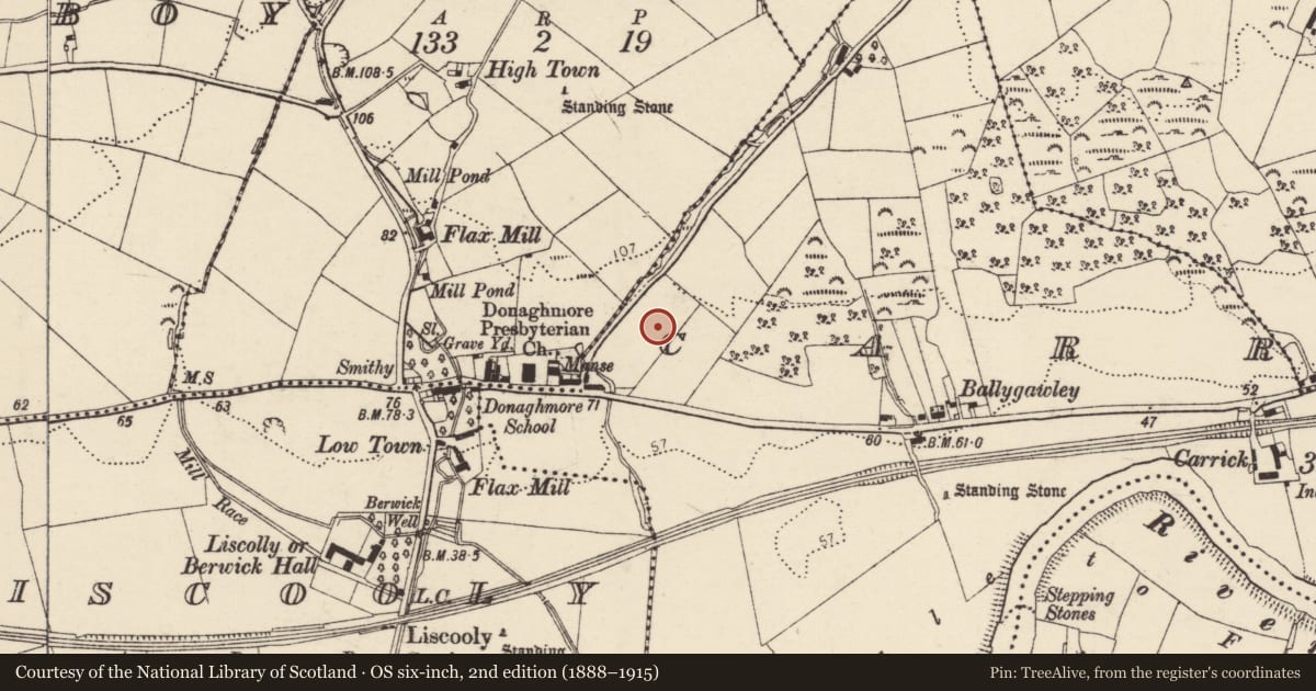 Ordnance Survey six-inch map, 2nd edition (1888–1915) covering the location of Standing stone, Carrick, County Donegal, with a pin at the register's coordinates