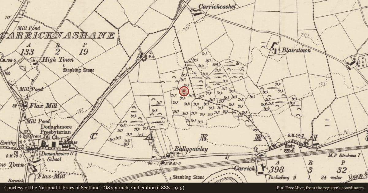 Ordnance Survey six-inch map, 2nd edition (1888–1915) covering the location of Ringfort - cashel, Carrick, County Donegal, with a pin at the register's coordinates