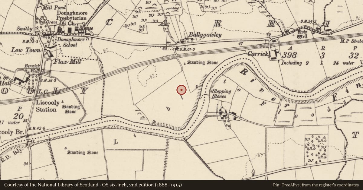 Ordnance Survey six-inch map, 2nd edition (1888–1915) covering the location of Ringfort - unclassified, Carrick, County Donegal, with a pin at the register's coordinates
