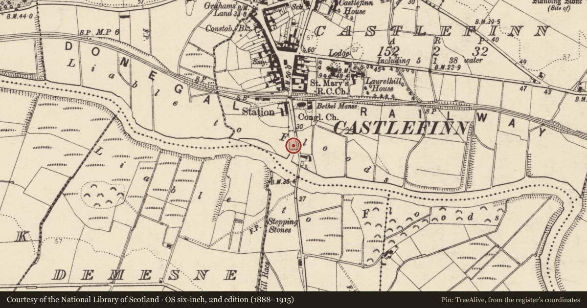 Ordnance Survey six-inch map, 2nd edition (1888–1915) covering the location of Castle - unclassified, Castlefinn, County Donegal, with a pin at the register's coordinates