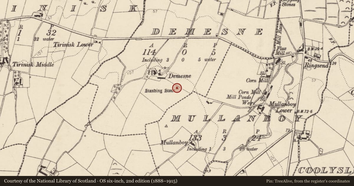 Ordnance Survey six-inch map, 2nd edition (1888–1915) covering the location of Standing stone, Demesne, County Donegal, with a pin at the register's coordinates