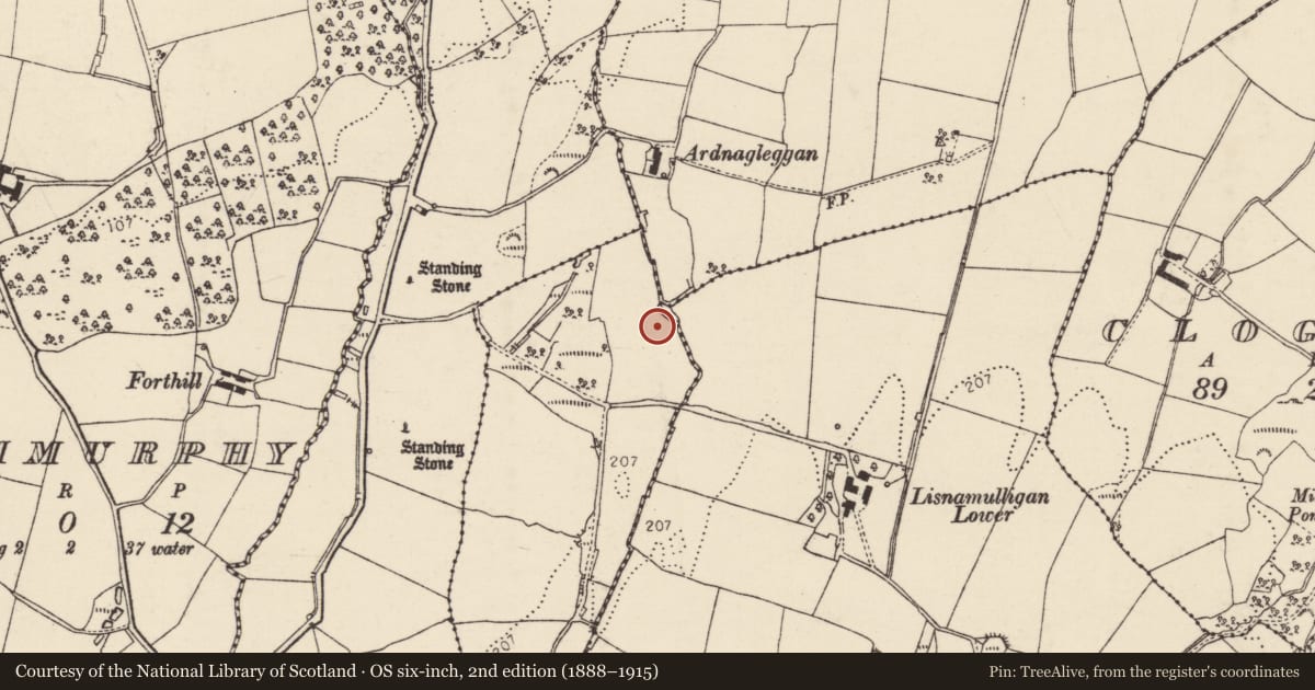 Ordnance Survey six-inch map, 2nd edition (1888–1915) covering the location of Cairn - unclassified, Cashelin, County Donegal, with a pin at the register's coordinates