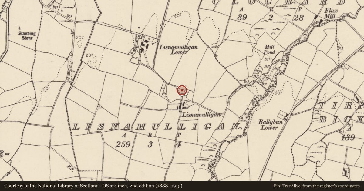 Ordnance Survey six-inch map, 2nd edition (1888–1915) covering the location of Ringfort - rath, Lisnamulligan, County Donegal, with a pin at the register's coordinates